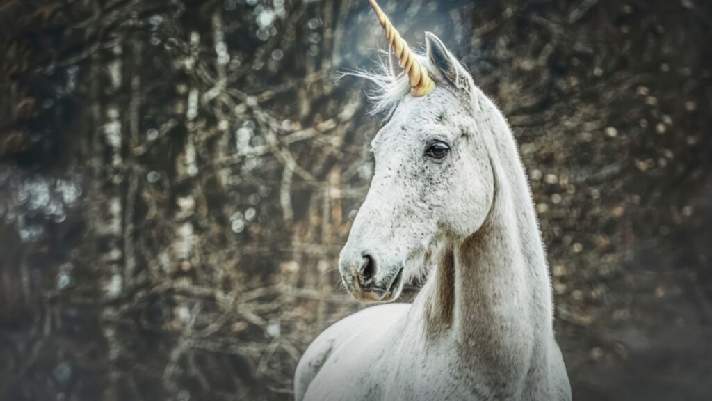 Portrait of a white arabian horse dressed as unicorn outdoors