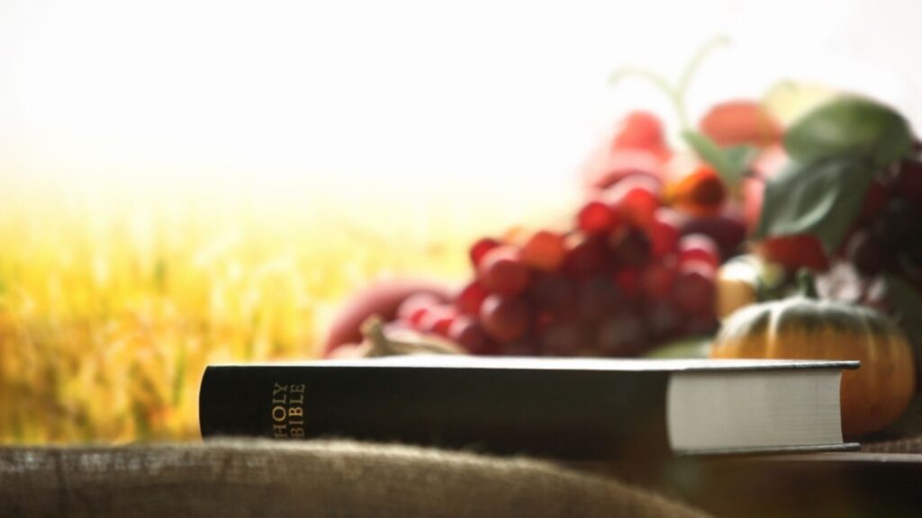 Church thanksgiving day fruit and ear of rice field background with bible and grain